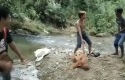Simpai2.jpg