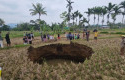 Sinkhole-di-sumbar.jpg