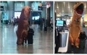 T-Rex-bandara-miami.jpg