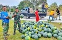 TNI-Panen-semangka.jpg