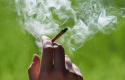 Tak-Hisap-Ganja-tapi-Positif-Narkoba-Dokter-Paru-Ungkap-Penyebabnya.jpg