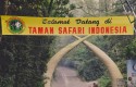 Taman-Safari-Indonesia.jpg