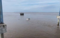 Trestle-Pelabuhan-KITB-Ambruk-Saat-Bongkar-Muat-Cangkang-PT-Besti-ke-Kapal.jpg
