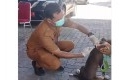Vaksinasi-rabies-di-Pekanbaru.jpg
