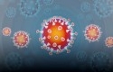 Virus-Corona.jpg