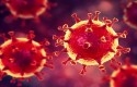 Virus-corona55.jpg