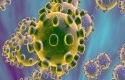 Virus-corona6.jpg