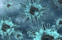 Virus-corona61.jpg
