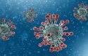 Virus-corona67.jpg