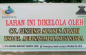 Warga-Resah-Kelompok-Misterius-Mengaku-PT-APN-Panen-Sawit-di-Kota-Lama.jpg
