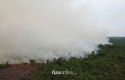 Warga-Sebut-Kebakaran-Hutan-di-Bengkalis-Sudah-Dua-Pekan.jpg