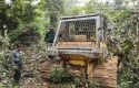 alat-berat-di-kawasan-hutan.jpg