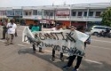 demo-kantor-bupati-bengkalis.jpg