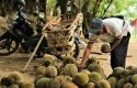 durian.jpg