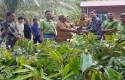 kampung-durian-RAPP.jpg