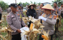 kapolresta-pekanbaru-panen-raya.jpg