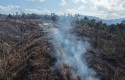 lahan-HPT-Tanjung-Medan-dibakar.jpg