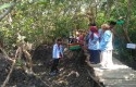 mangrove-pamban.jpg