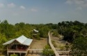 mangrove-siak.jpg