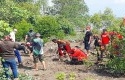 pdip-tanam-mangrove.jpg