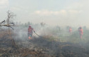 pemadaman-karhutla-di-riau.jpg