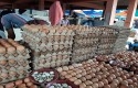 penjual-telur3.jpg