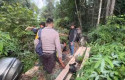 polisi-mengamankan-pelaku-ilegal-logging.jpg