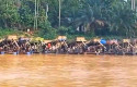 ponton-peti.jpg