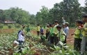 praktik-di-kebun.jpg