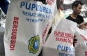 pupuk-urea.jpg