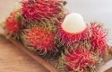 rambutan42.jpg