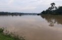 sawah-terendam-banjir-di-kuansing.jpg