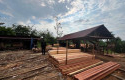 sawmill-ilegal-di-Desa-Sungai-Sarik.jpg