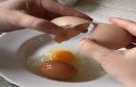 telur-dalam-telur.jpg