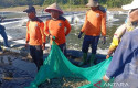 warga-binaan-memanen-udang.jpg