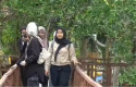 wisatawan-pulau-semut2.jpg