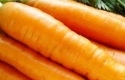 wortel.jpg